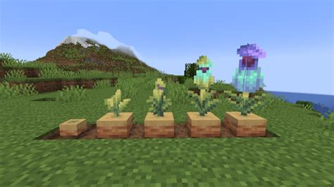 How to grow pitcher pod minecraft 