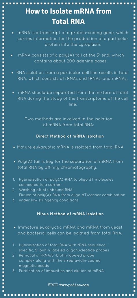 How to isolate mrna from the other types of rna  Figure [Math Processing Error] 15