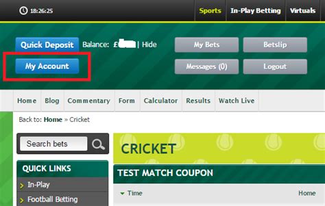 How to make money on paddy power  Free