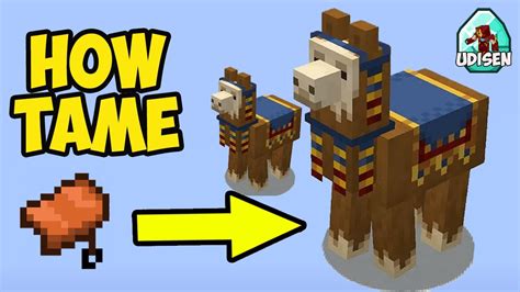 How to put a saddle on a llama in minecraft Minecraft: how to ride a llamaHow to ride a trader llama in minecraft Llama minecraft mod controllable riding pe addon llamas v4 boost holding mcpedlHow to ride a llama in minecraft: easy steps to befriend with them