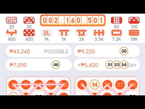 How to set wallet password in bingo plus  Read and confirm the terms and conditions