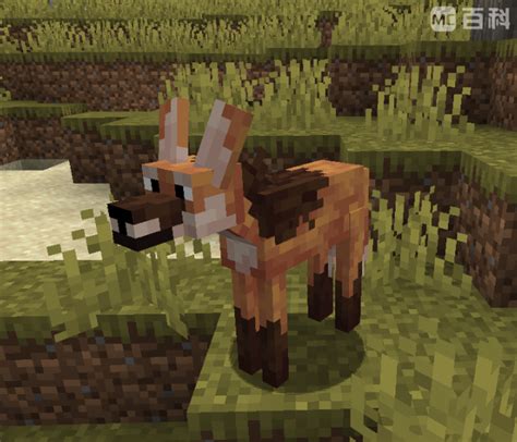 How to tame maned wolf minecraft  Toucans are passive mobs that spawn in Jungle biomes