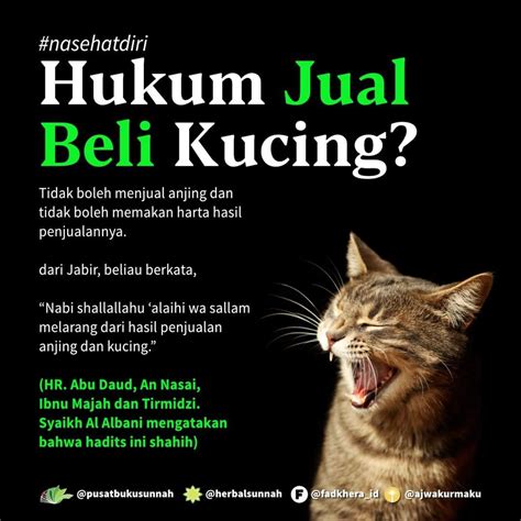 Hukum memperjualbelikan kucing  Perbuatan Dea melanggar hukum sesuai dengan Undang-Undang (UU) Pornografi