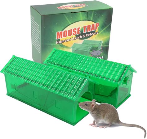 SuperCat rat trap with bait: natural and efficient way to catch rats