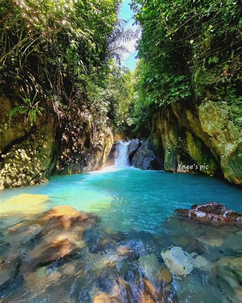 Hutan bundir di jepang com - Curug Ciherang terletak di Desa Sirnajaya, Kecamatan Sukamakmur, Bogor, Jawa Barat