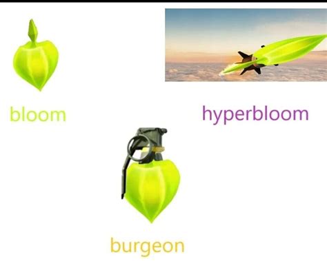 Hyperbloom or burgeon  - Raiden Shogun's Skill is efficient due to its long duration