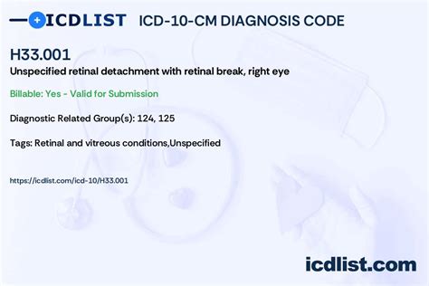 2024 ICD-10-CM Diagnosis Code H33.3: Retinal breaks without detachment