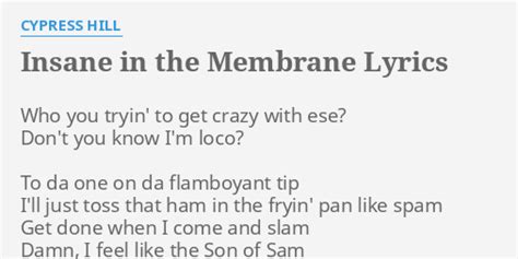 Icp insane in the membrane lyrics  Insane in the brain! Insane in the brain! Going insane Got no brain!특히 반복되는 Go insane 부분이 참 마음에 듭니다