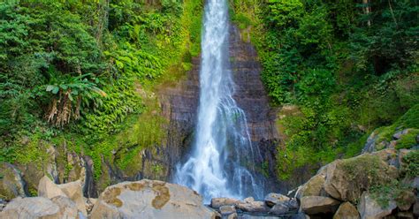 Identify the jungles hidden waterfall oasis  Climb up the dead branches to reach the top of the cliff to find the Emerald Stone