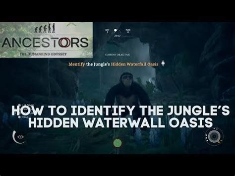Identify the jungles hidden waterfall oasis  Address: 2245 Errington Rd
