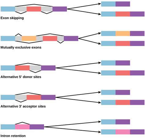 Idleon dna splicing <b>I would reccomend doing it active with ES</b>