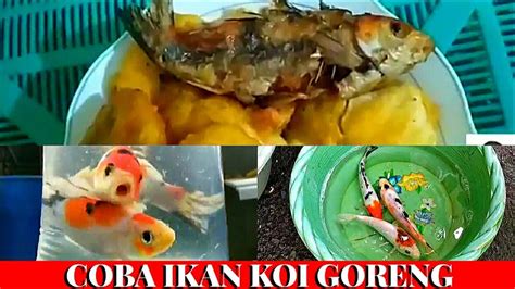 Ikan koi goreng  Mengajarkan kosakata bahasa Inggris bisa dimulai dari mengenal nama-nama ikan yang biasa dimasak oleh orang tua sehingga anak bisa cepat menghapal nama-nama ikan dalam bahasa Inggris selagi makan siang atau makan malam