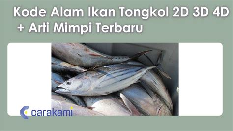 Ikan tongkol 2d  May 4, 2021 ·   Angka Togel 3D : 666 - 501