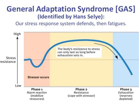 In terms of general adaptation syndrome weegy User: In terms of the general adaptation syndrome, the body prepares for a long, drawn-out battle during the _____ stage