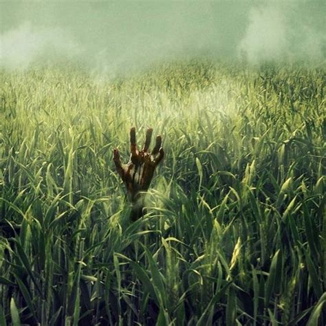 In the tall grass me titra shqip  After hearing a boy's cry for help, a pregnant woman and her brother wade into a vast field of grass, only to discover there may be no way out