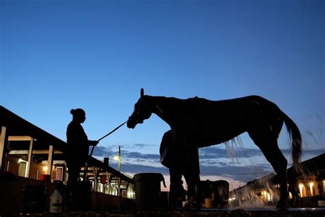 Index of horses running today  Look out too for a listing of the most recent European Champions – by age,sex,trip – plus the best performances in handicaps and on the All-Weather