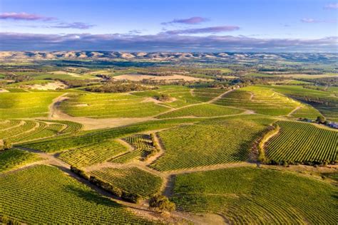 Indomex mclaren vale photos  Average price $35