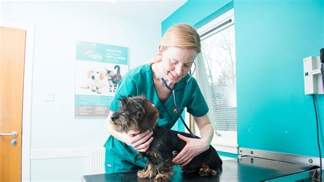 Ingles vet dunfermline  We have branches in Dunfermline, Alloa, Kinross and even Edinburgh! Click here to view the latest exciting employment opportunities at Inglis Vets
