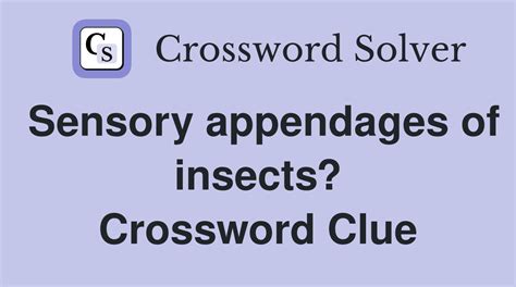 Insect appendage crossword  The crossword clue Wayne genre