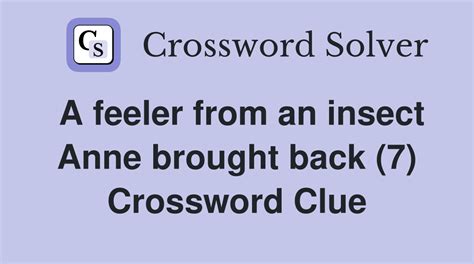 Insect feeler crossword clue  Click