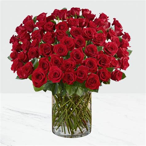 Interflora 100 roses Flowers from Interflora: Interflora is one of the UK's leading online florists