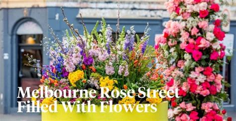 Interflora melbourne  Find the perfect Rose or Flower Bouquet for Anniversaries, birthdays, condolences, Valentine's Day, Mother's Day or just because