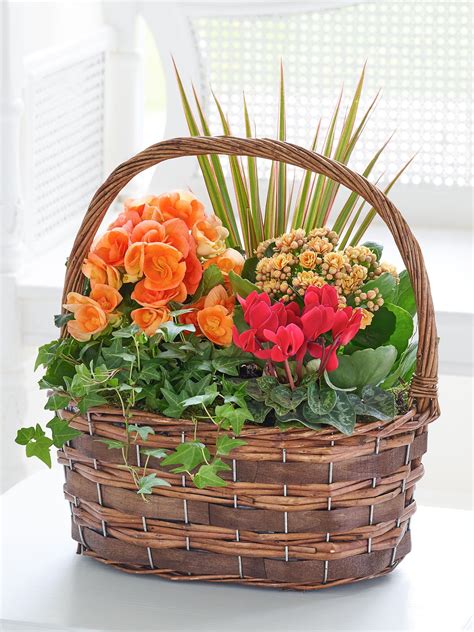 Interflora new york  With Interflora Flowers Service you can send flowers both locally - and all across the world, from Spain to Jordan, from Saudi Arabia to Turkey -