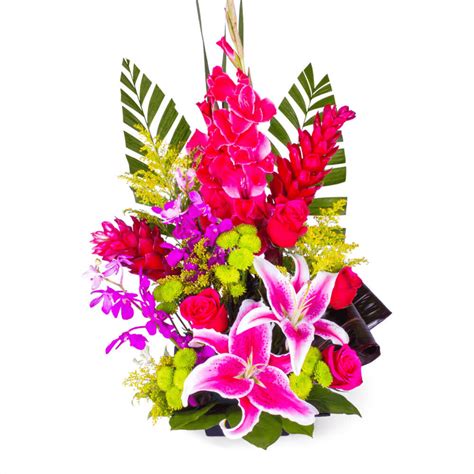 Interflora san francisco 95 Admire You - W694 Best seller Next-day Delivery $69