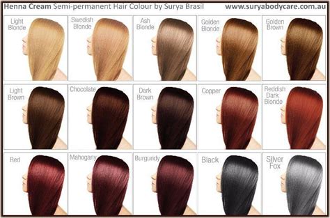 Ion Demi Permanent Hair Color Chart