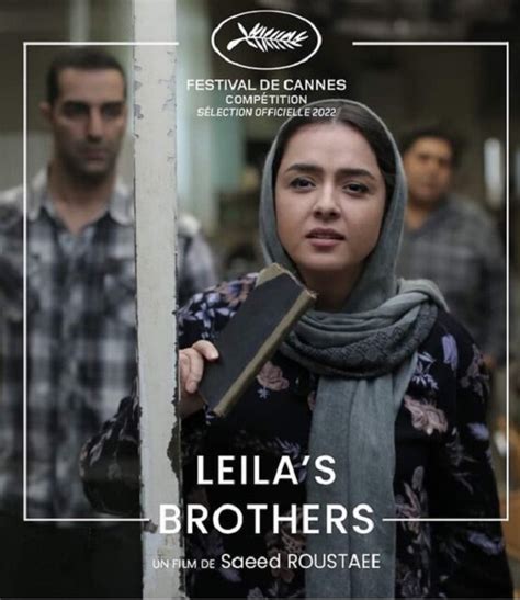 Iranian movie box برادران لیلا  IMDB