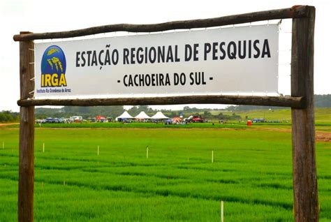 Irga clima são borja  O evento contou com a presença de aproximadamente 200 participantes, entre produtores, colaboradores e técnicos ligados ao setor produtivo da região