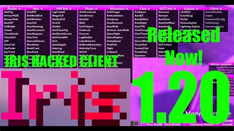 Iris hacked client minecraft bedrock  • 3 mo