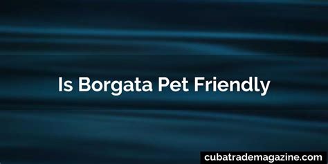 Is borgata pet friendly  É uma fonte preciosa de informações sobre o consumidor, que você pode usar para criar conteúdos, produtos e