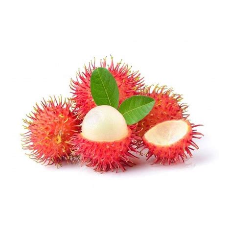 Isi rambutan arane brainly  Rambutan Isi Sayur