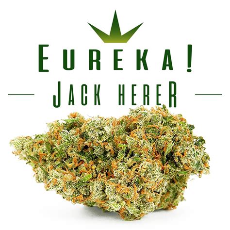 Jack herer leafly  Leafly reviewers tell us that Jack Herer’s effects include feeling energetic, creative, and uplifted