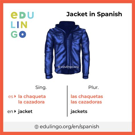 Jacket in spanish duolingo  Spanish learning for everyone