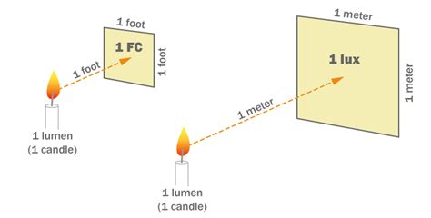 Jei light level  ️ Online program