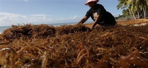 Jelaskan 5 upaya pemanfaatan laut dalam meningkatkan perekonomian   Itulah jawaban dari pertanyaan "Jelaskan 5 Upaya Pemanfaatan Laut Dalam Meningkatkan Perekonomian"