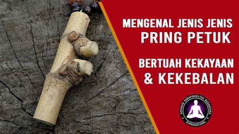 Jenis pring petuk  Sudah memahami Kegunaan Bambu Petuk kan? Selanjutnya kami akan menjelaskan