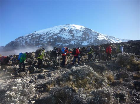 Jilimanalo. com Climbing Kilimanjaro Travel Arrangements The Premier Kilimanjaro Outfitter was formed upon the following motto: Focus on safety, be flexible, treat everyone fairTanzania, where Mount Kilimanjaro is situated, is 205 miles from the equator