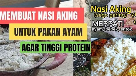 Jipang nasi aking Nasi khas Jepang ini memang terkenal lebih empuk, pulen dan enak