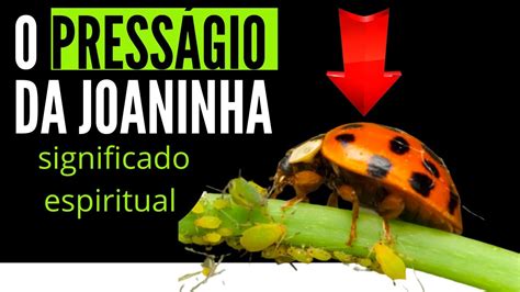 Joaninha amarela significado espiritual  Ela vai para outra pessoa numa oportunidade de refazer a sua história de vida