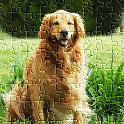 Jspuzzles galeria  Solve a jigsaw