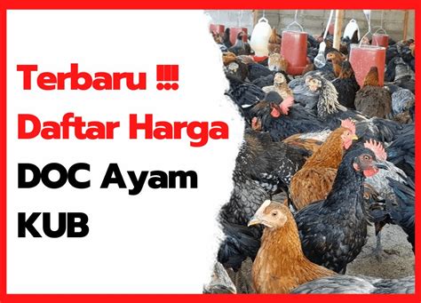 Jual ayam gorila terdekat Beli Ayam Potong Natura Chicken terdekat & berkualitas harga murah 2023 terbaru di Tokopedia! ∙ Promo Pengguna Baru ∙ Kurir Instan ∙ Bebas Ongkir ∙ Cicilan 0%