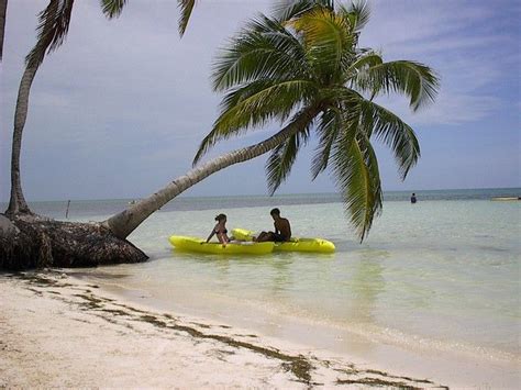 2024 Jungle beach break costa maya - центд.рф