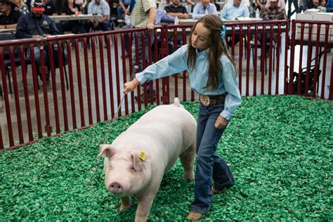 2024 Junior Livestock Sale brings top dollar for pigs, cattle, lambs ...