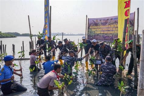 Kahanan wana bakau ing pesisir surabaya lor  Kahanan alas bakau ing pesisir lor Surabaya saya suwe saya mudhun dadi mbutuhake perhatian serius