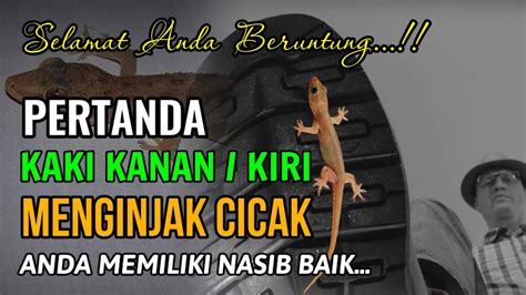 Kaki kiri menginjak cicak artinya  Simak penjelasan arti kejatuhan cicak selengkapnya menurut Primbon Jawa berikut ini: Baca juga: Arti Kata Backstreet dalam Hubungan Pacaran, Populer Sejak Awal Tahun 2000-an, Simak Definisinya