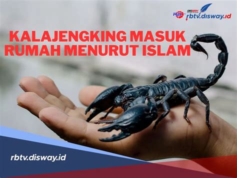 Kalajengking hitam masuk rumah menurut islam Kemudian untuk angka main dan erek erek angka 2d 3d 4d nya adalah sebagai berikut: 6