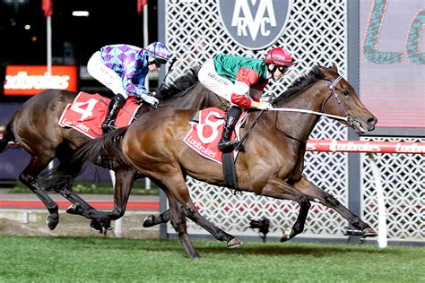 Karrakatta plate prize  These races are run